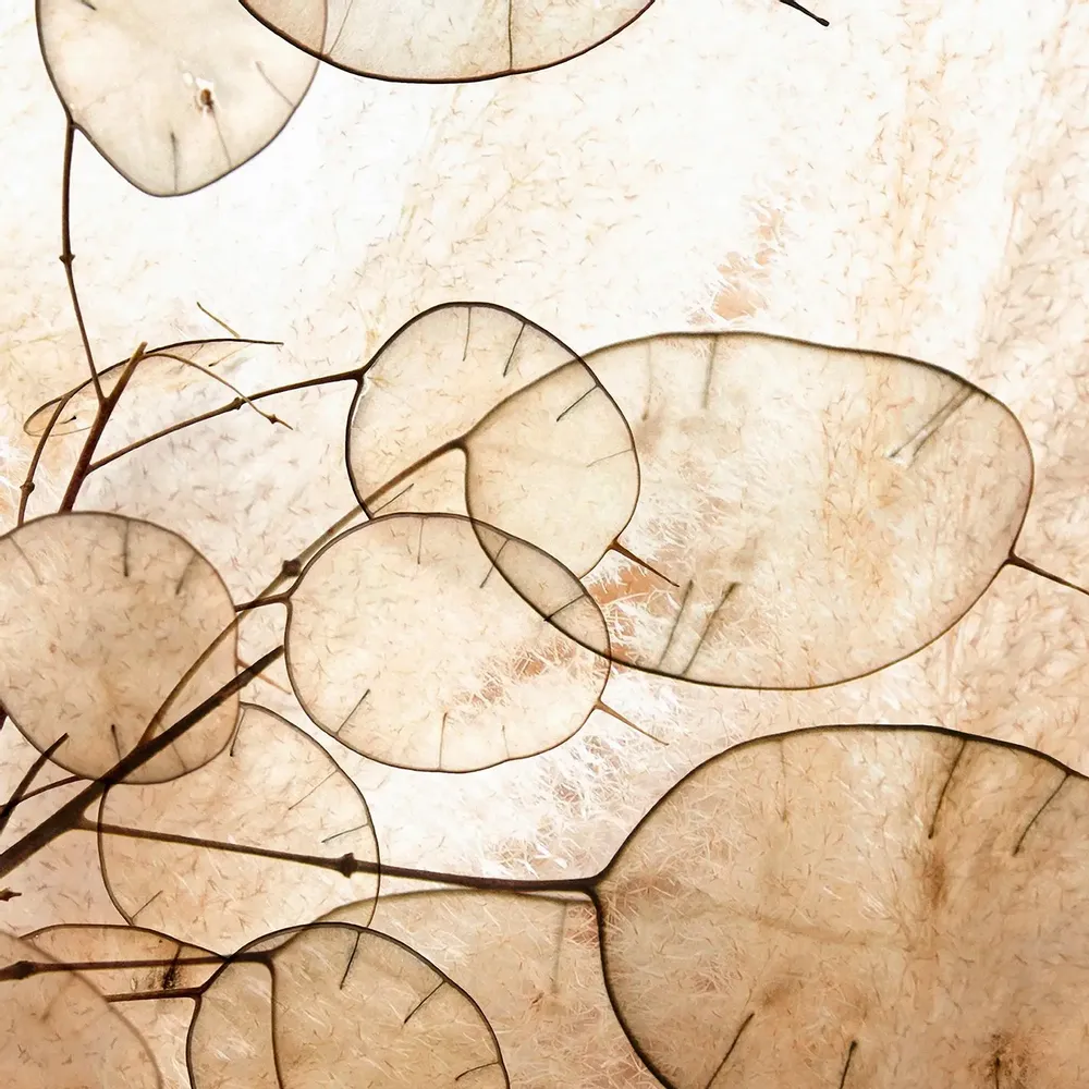 Tapisseries - Papier peint panoramique Lunara XL - LE PAPIERS DE NINON