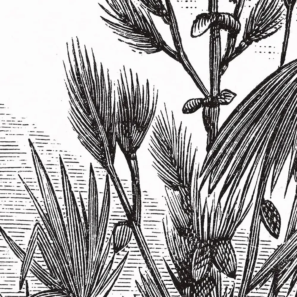 Tapisseries - Papier peint panoramique Madrague - LE PAPIERS DE NINON