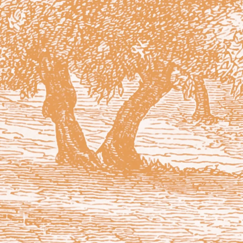 Tapestries - Capri panoramic wallpaper - LE PAPIERS DE NINON