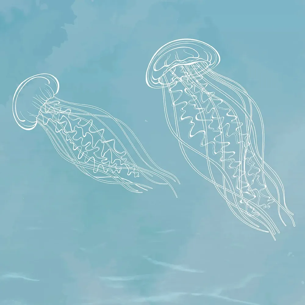 Tapisseries - Papier peint panoramique Le Grand Bleu - LE PAPIERS DE NINON