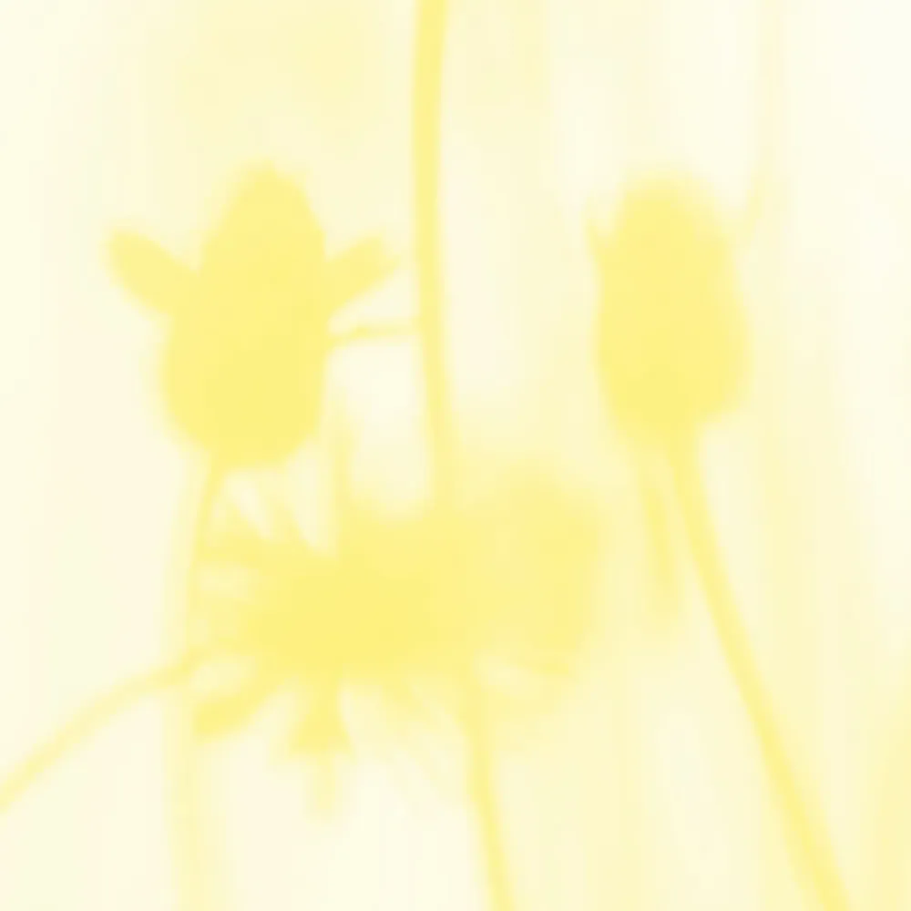 Tapisseries - Papier peint panoramique Le Chant Des Pavots - LE PAPIERS DE NINON