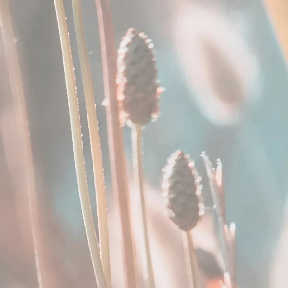 Tapestries - Toudoux panoramic wallpaper - LE PAPIERS DE NINON