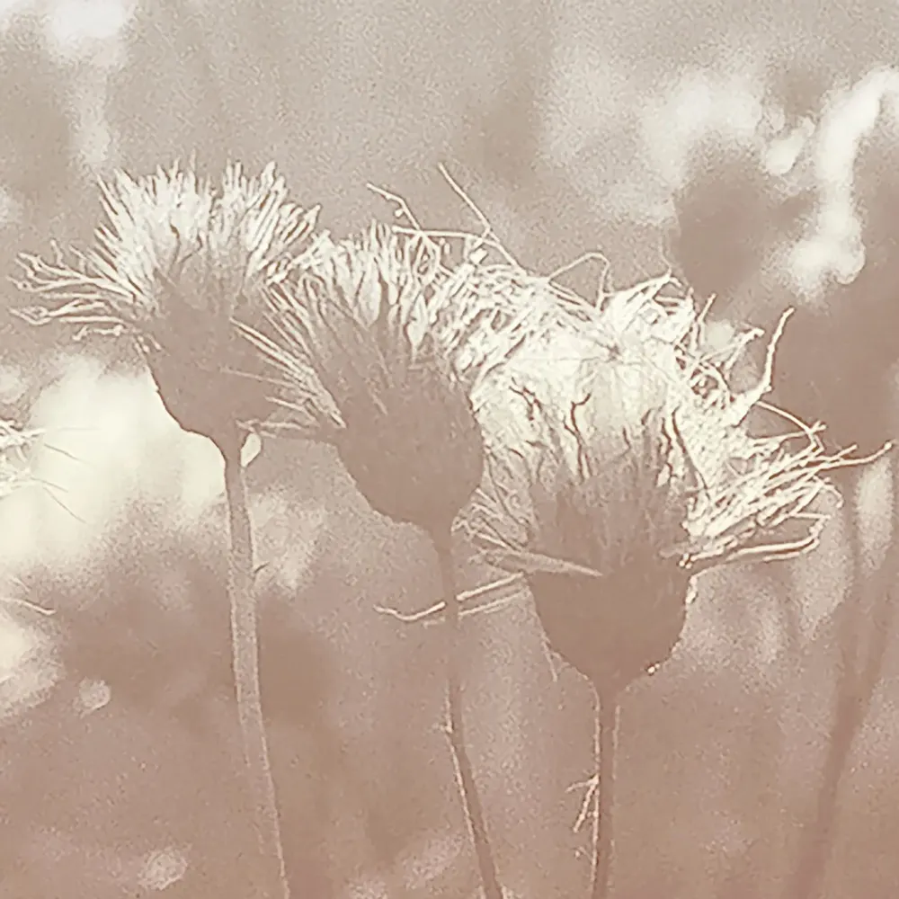 Tapisseries - Papier peint panoramique Aurore - LE PAPIERS DE NINON