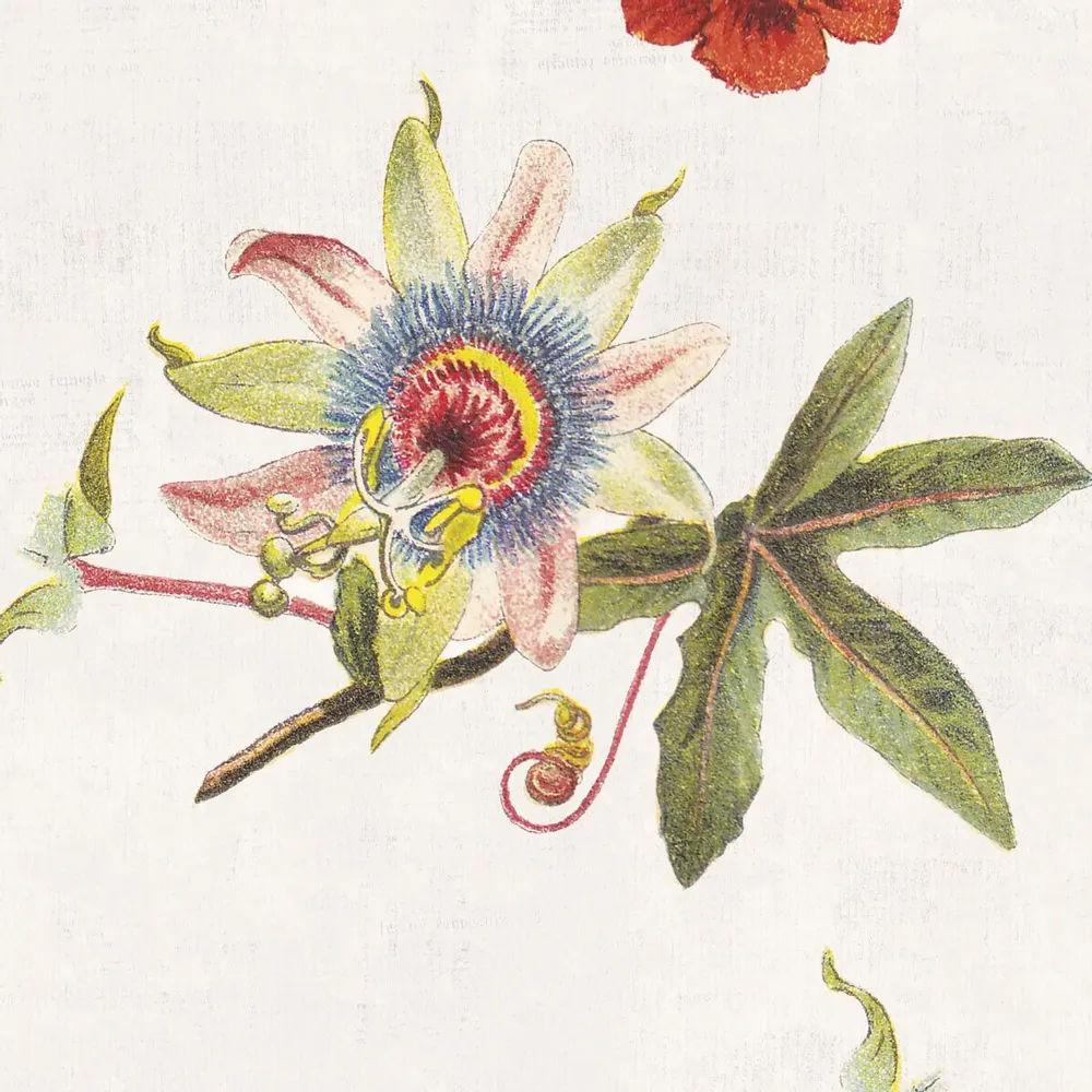 Tapisseries - Papier peint panoramique Herons & Flowers - LE PAPIERS DE NINON