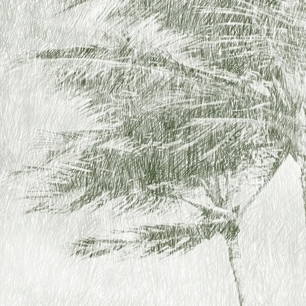 Tapisseries - Papier peint panoramique Hawaï - LE PAPIERS DE NINON