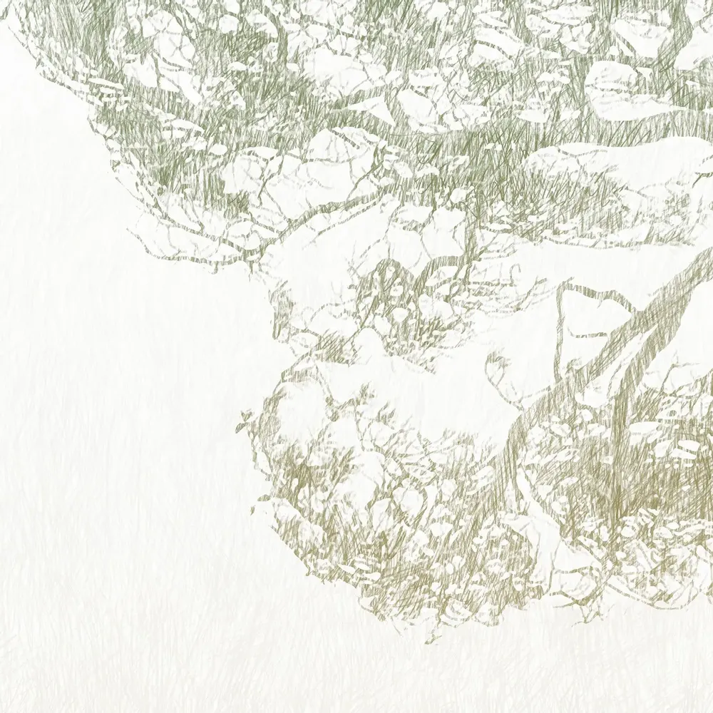 Tapisseries - Papier peint panoramique Calédonie - LE PAPIERS DE NINON