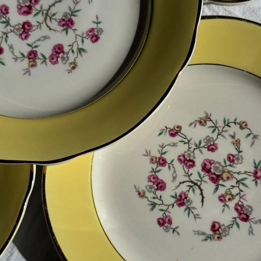 Formal plates - Set of 19 large vintage yellow dinner plates with pink flowers and bor - OFFICE OBJETS