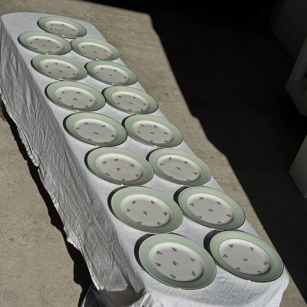 Assiettes au quotidien - Lot de 15 assiettes plates vintage turquoises liseré doré fleurs roses - OFFICE OBJETS