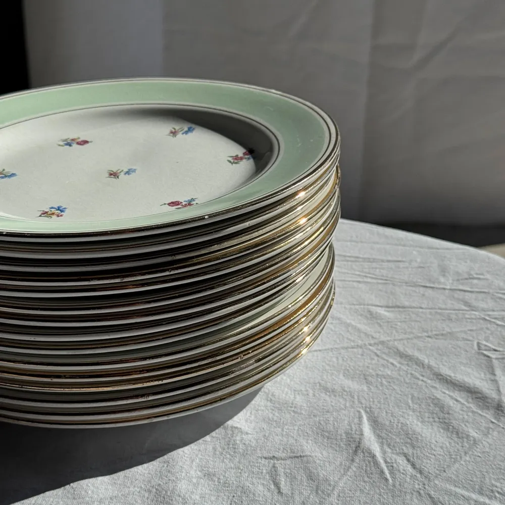 Assiettes au quotidien - Lot de 15 assiettes plates vintage turquoises liseré doré fleurs roses - OFFICE OBJETS