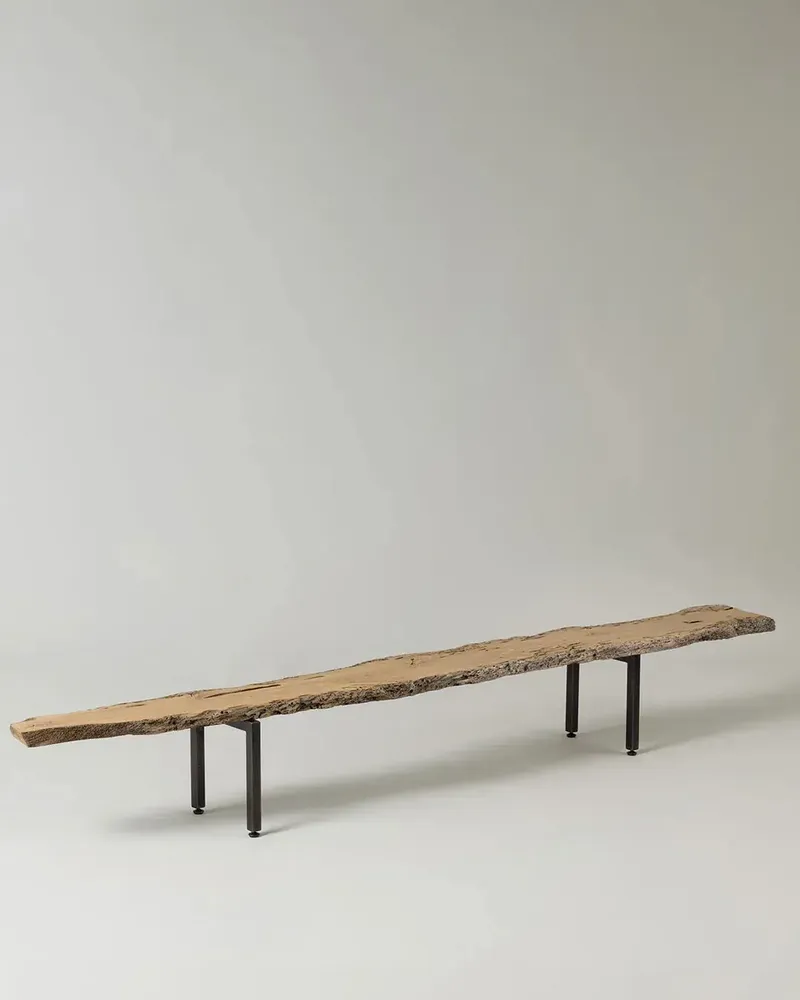 Banquettes pour collectivités - Coccodrillo | Banc Sculptural en Pièce Unique de Bricole - DE ZOTTI & DE BRICOLA