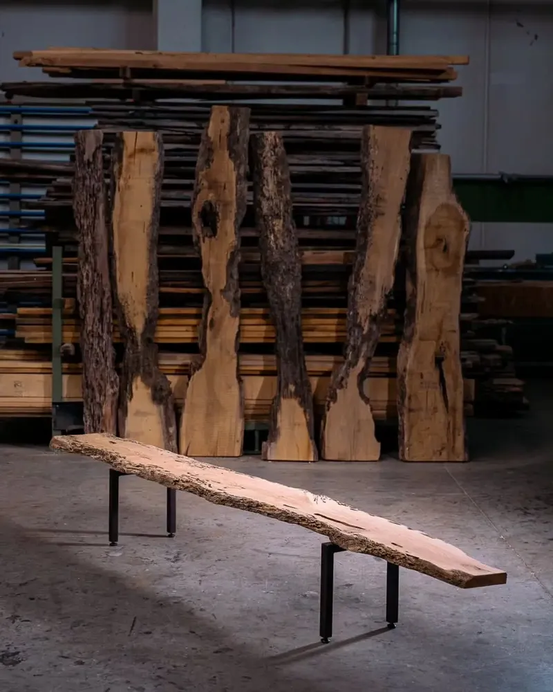 Banquettes pour collectivités - Coccodrillo | Banc Sculptural en Pièce Unique de Bricole - DE ZOTTI & DE BRICOLA