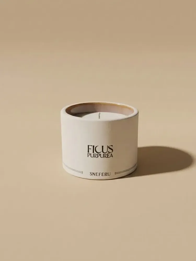 Bougies - Bougie de Luxe Parfumée Ficus Purpurea 140 g - SNEFERU