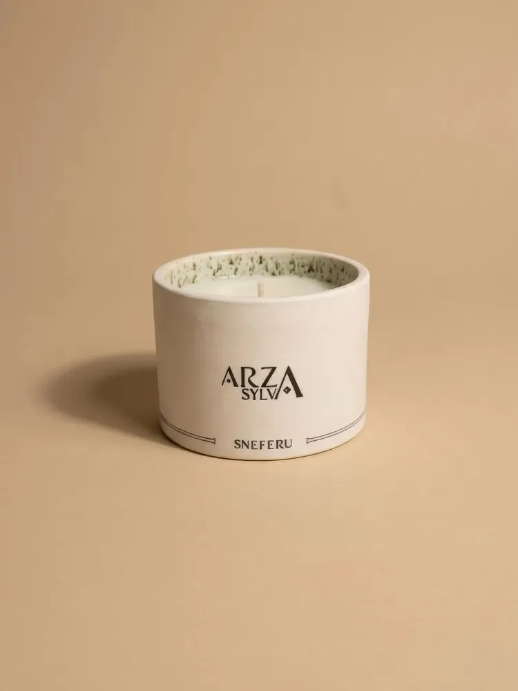 Bougies - Bougie de Luxe Parfumée Arza Sylva 140 g - SNEFERU