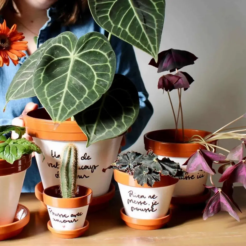 Vases - Personalized flower pot, customizable cachepot - JOLI POT