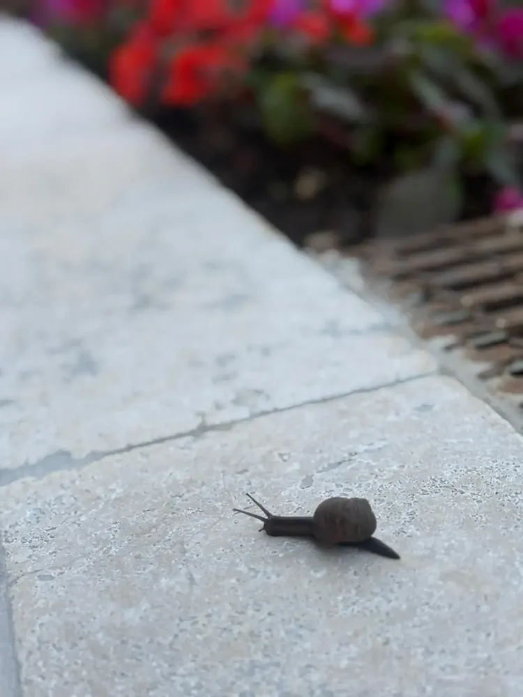 Systèmes de terrasse - Travertin Etrusco Vieilli - 20x40 cm - SENINI STONE  -NATURAL STONE MADE IN ITALY-