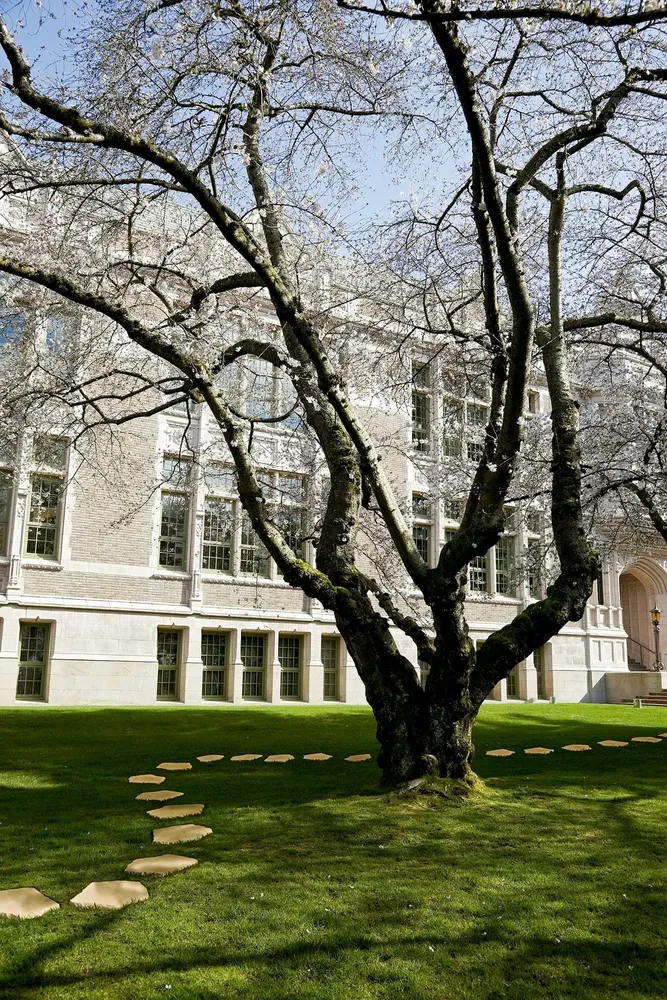 Objets de décoration - Revêtement sol Pedra Tosca - ACL - A CIMENTEIRA DO LOURO