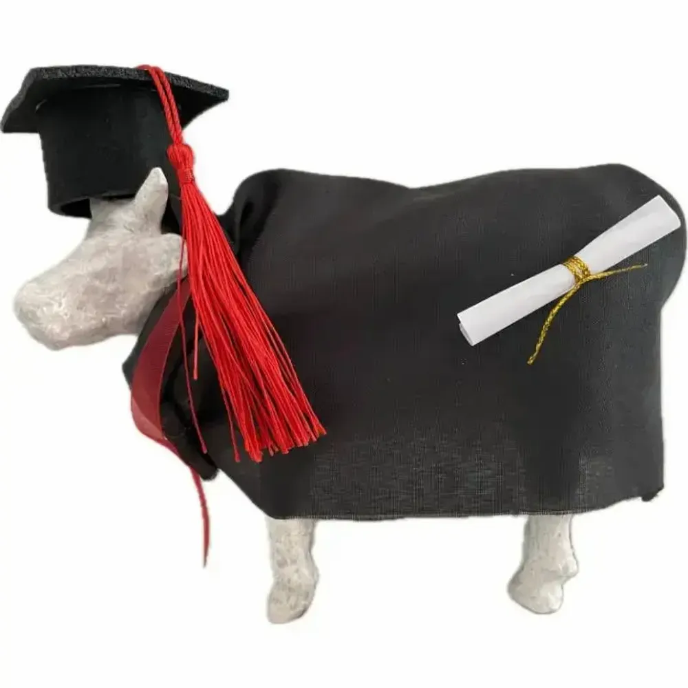 Objets design - Vache décorative la COWllège de France - VACHES ET COMPAGNIE