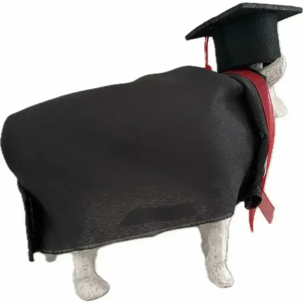 Objets design - Vache décorative la COWllège de France - VACHES ET COMPAGNIE