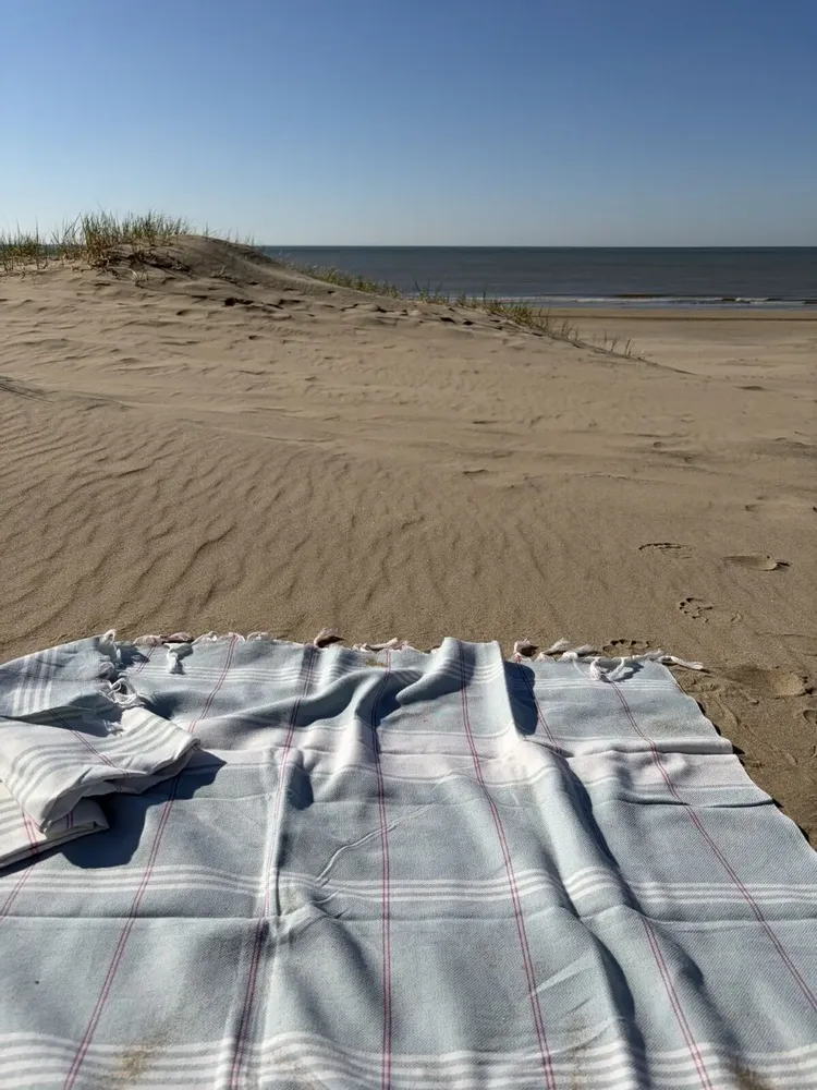 Bath towels - hammam towel Organic sea green/wwhite - OTTOMANIA