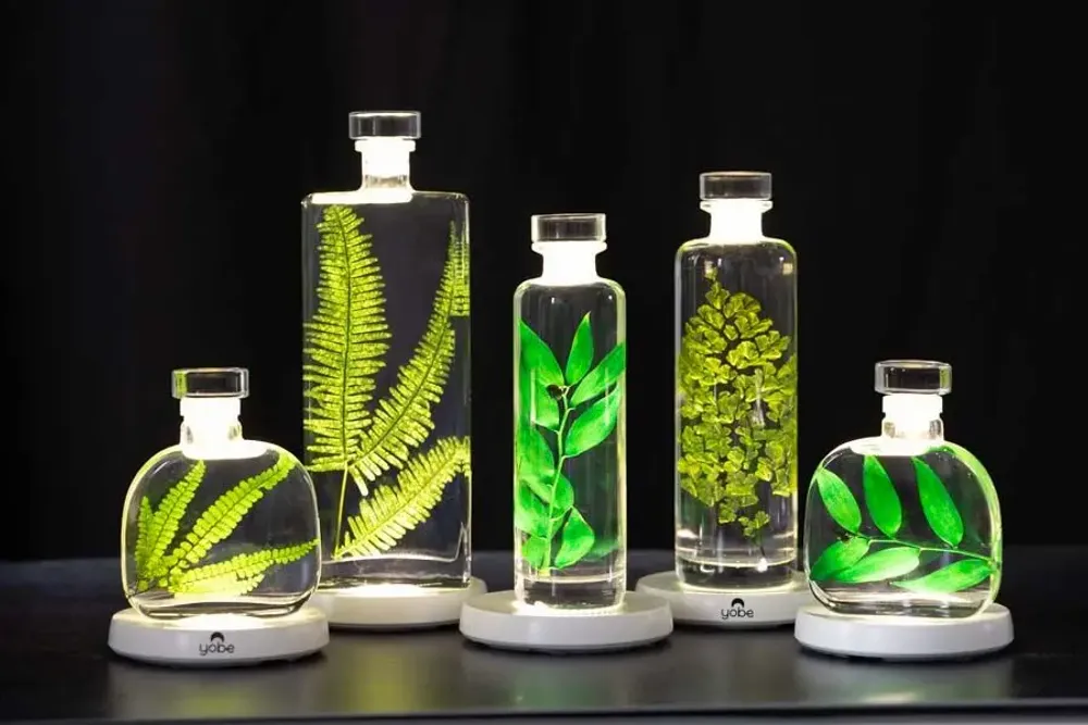 Decorative objects - Theophile's Herbarium — submerged plants and flowers - THEOPHILE BERTHON