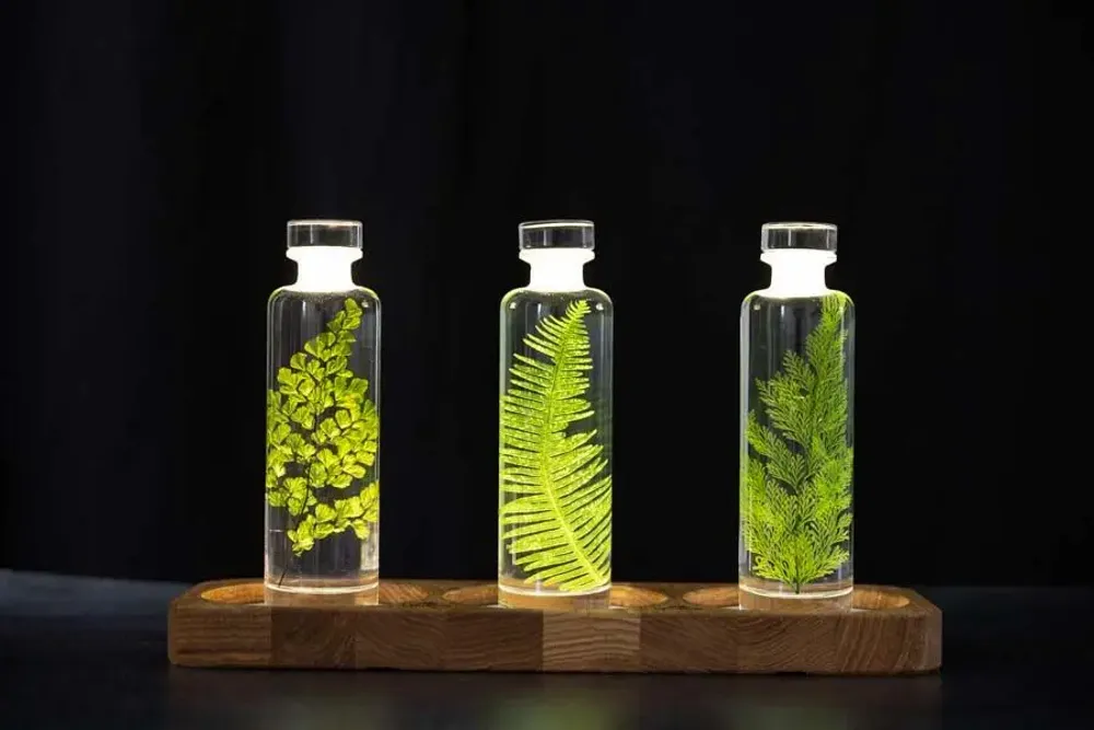 Decorative objects - Theophile's Herbarium — submerged plants and flowers - THEOPHILE BERTHON