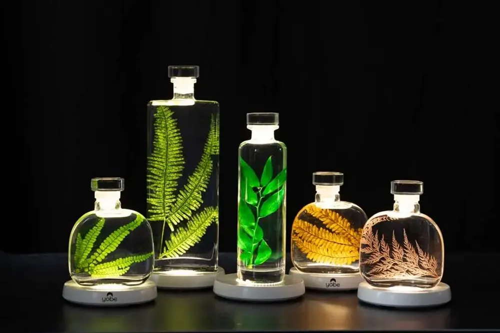 Decorative objects - Theophile's Herbarium — submerged plants and flowers - THEOPHILE BERTHON