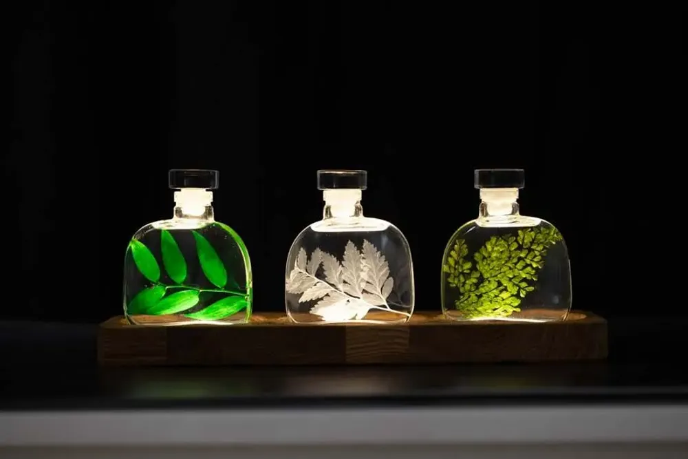 Decorative objects - Theophile's Herbarium — submerged plants and flowers - THEOPHILE BERTHON