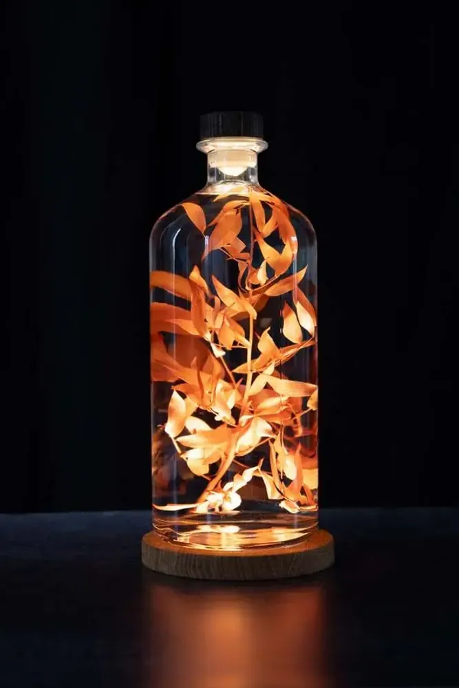 Gifts - Theophile's Herbarium — Monstera XL - Plant immersed in a bottle - THEOPHILE BERTHON
