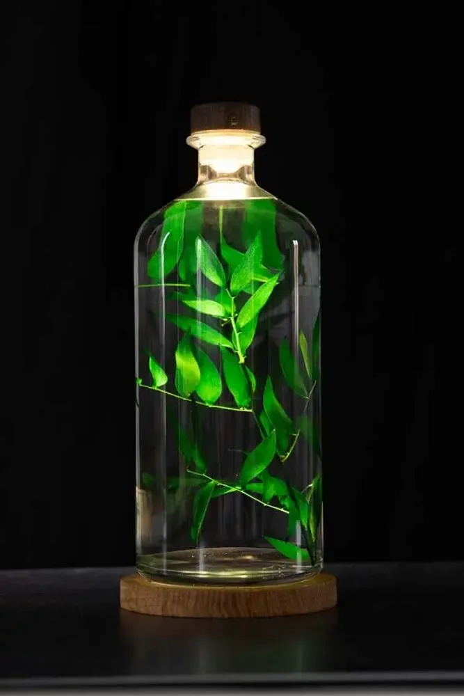 Gifts - Theophile's Herbarium — Monstera XL - Plant immersed in a bottle - THEOPHILE BERTHON
