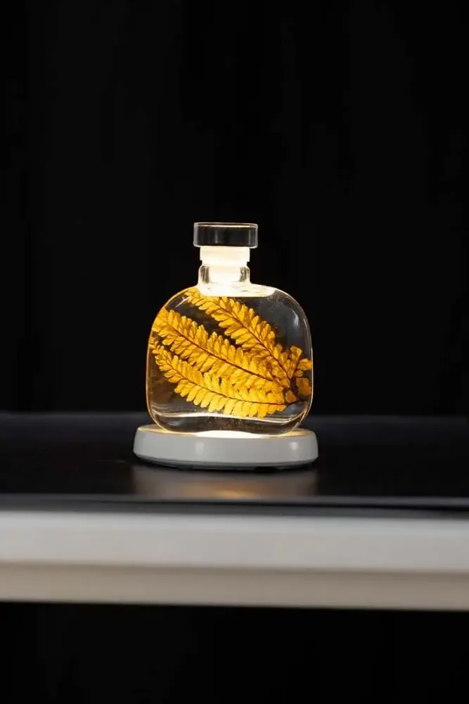 Decorative objects - Theophile's Herbarium — White Leather - Sustainable Botanical Capsule - THEOPHILE BERTHON