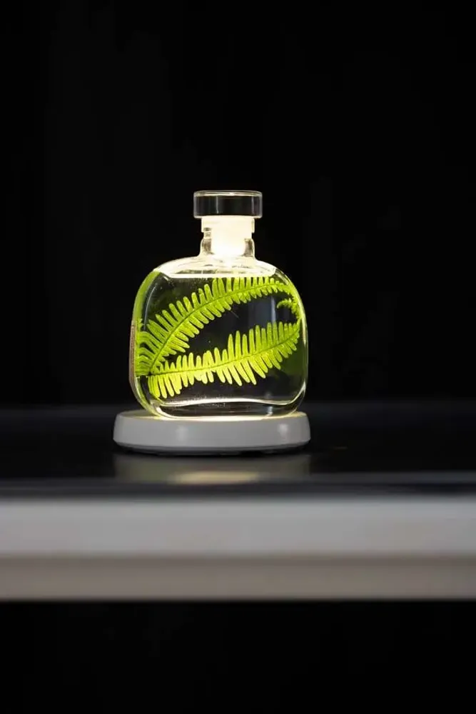 Decorative objects - Theophile's Herbarium — White Leather - Sustainable Botanical Capsule - THEOPHILE BERTHON