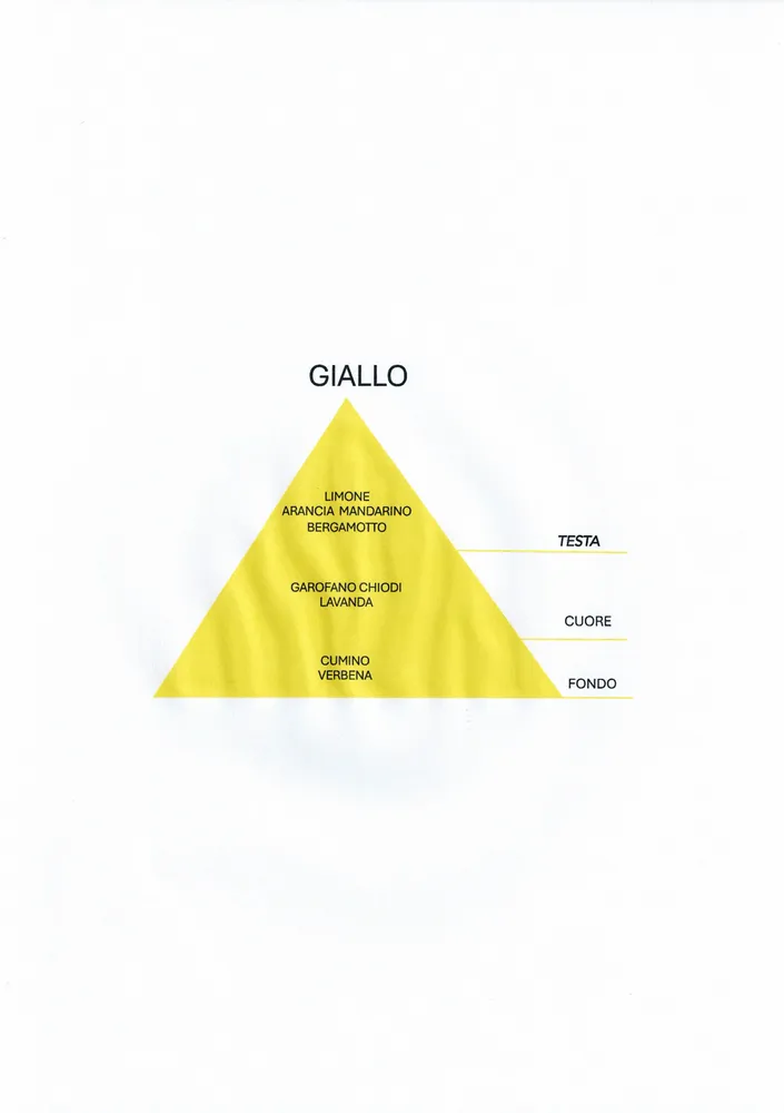 Parfums d'intérieur - MINITRIGGER 100ML AME' GIALLO - AMÉ