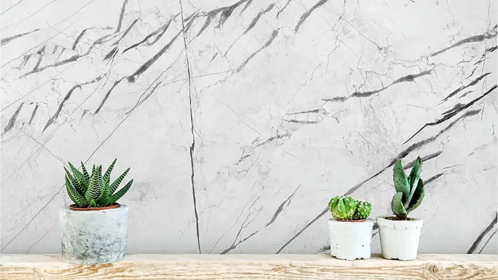 Indoor floor coverings - Marquina White Matt Marble Effect Porcelain Stoneware 60X120 - EMAA126 (Ceramishop.fr) - CERAMISHOP