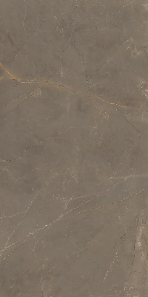 Revêtements sols intérieurs - Grès Cérame Effet Marbre Naturel Marron Mat Rt 60X120 - EAOD1509 (Ceramishop.fr) - CERAMISHOP