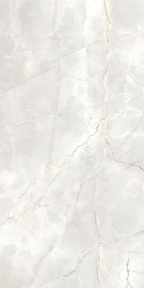 Indoor floor coverings - Light Grey Matte Natural Marble Effect Porcelain Stoneware RT 60X120 - EAPL1505 (Ceramishop.fr) - CERAMISHOP