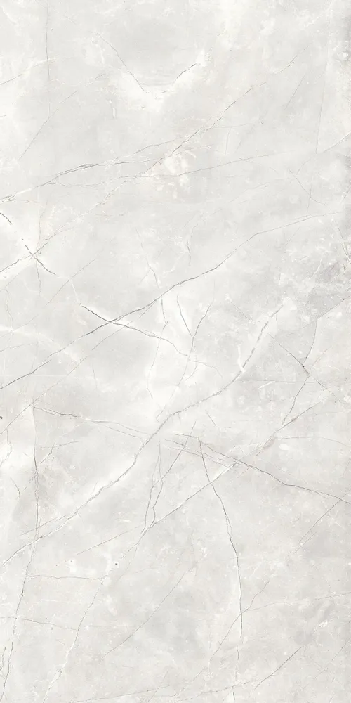 Indoor floor coverings - Light Grey Matte Natural Marble Effect Porcelain Stoneware RT 60X120 - EAPL1505 (Ceramishop.fr) - CERAMISHOP