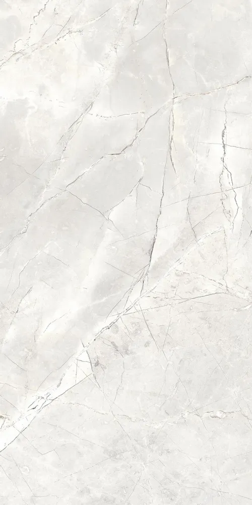 Indoor floor coverings - Light Grey Matte Natural Marble Effect Porcelain Stoneware RT 60X120 - EAPL1505 (Ceramishop.fr) - CERAMISHOP