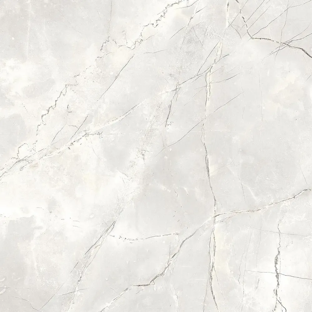 Revêtements sols intérieurs - Grès Cérame Effet Marbre Naturel Gris Clair Mat Rt 60X60 - EAPL1506 (Ceramishop.fr) - CERAMISHOP