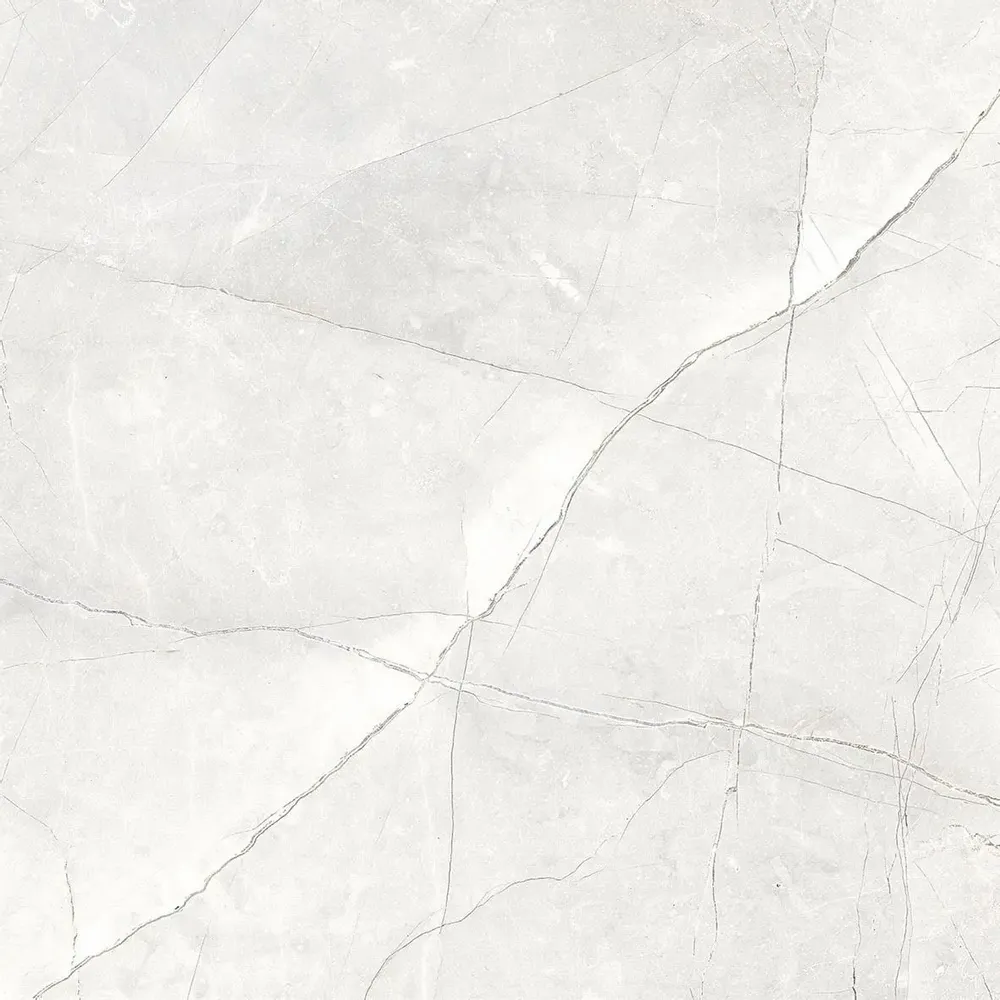 Revêtements sols intérieurs - Grès Cérame Effet Marbre Naturel Gris Clair Mat Rt 60X60 - EAPL1506 (Ceramishop.fr) - CERAMISHOP