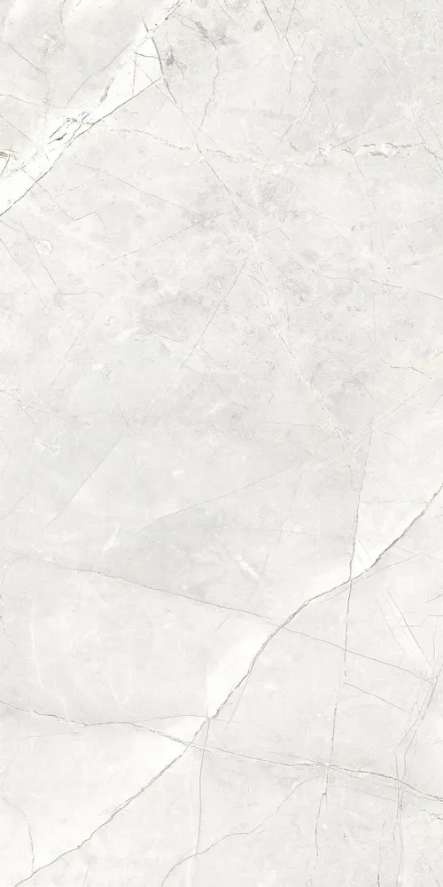 Indoor floor coverings - Light Grey Glossy Natural Marble Effect Porcelain Stoneware 60X120 - EAPL1521 (Ceramishop.fr) - CERAMISHOP