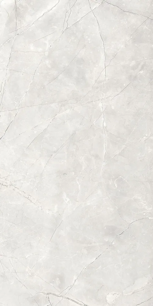 Indoor floor coverings - Light Grey Glossy Natural Marble Effect Porcelain Stoneware 60X120 - EAPL1521 (Ceramishop.fr) - CERAMISHOP