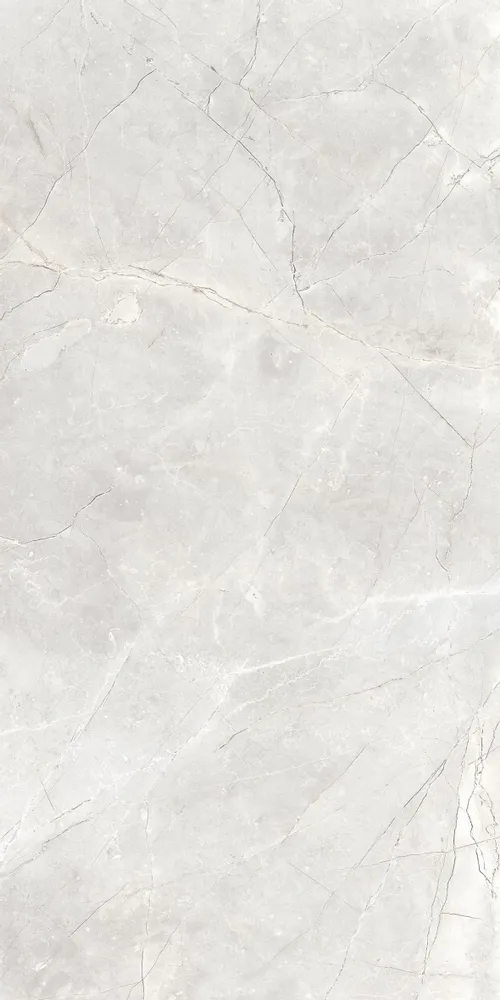 Indoor floor coverings - Light Grey Glossy Natural Marble Effect Porcelain Stoneware 60X120 - EAPL1521 (Ceramishop.fr) - CERAMISHOP