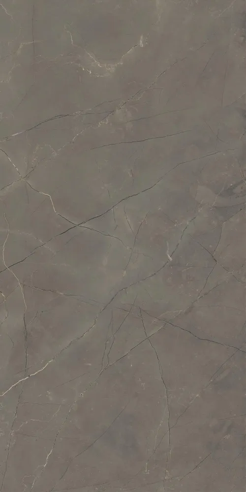 Indoor floor coverings - Dark Grey Glossy Natural Marble Effect Porcelain Stoneware 60X120 - EATN1529 (Ceramishop.fr) - CERAMISHOP