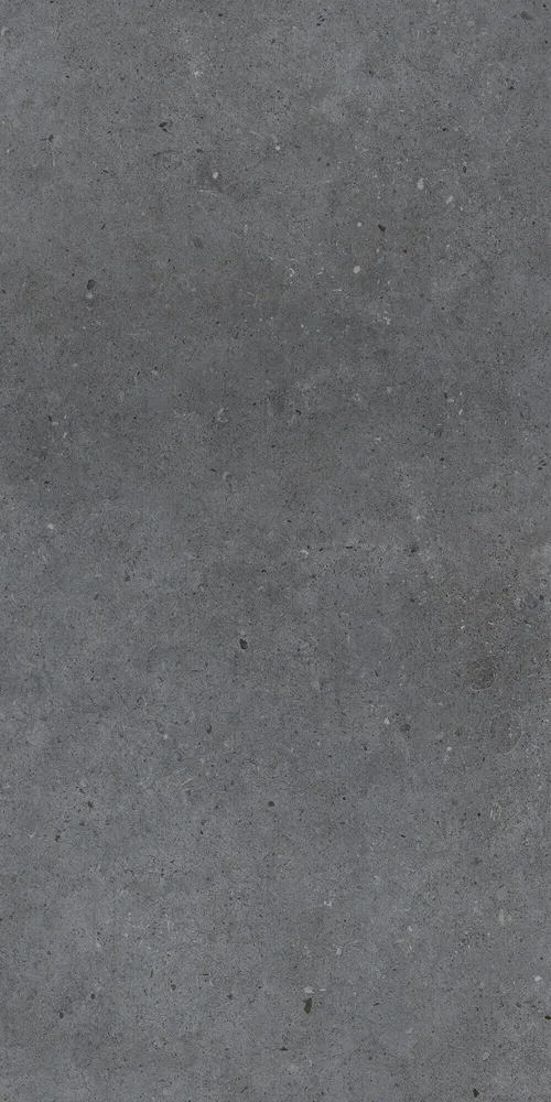 Revêtements sols intérieurs - Grès Cérame Effet Béton Anthracite Mat 60X120 - EBBD021 (Ceramishop.fr) - CERAMISHOP