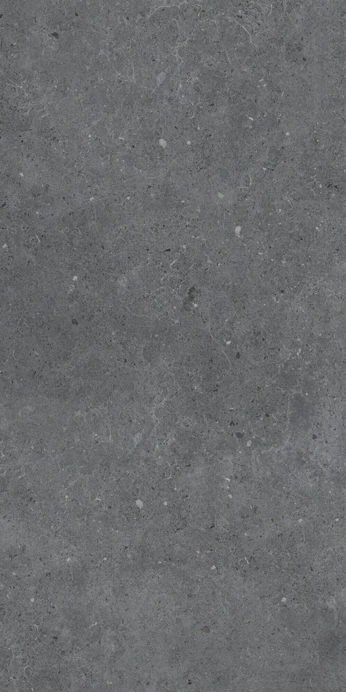 Revêtements sols intérieurs - Grès Cérame Effet Béton Anthracite Mat 60X120 - EBBD021 (Ceramishop.fr) - CERAMISHOP