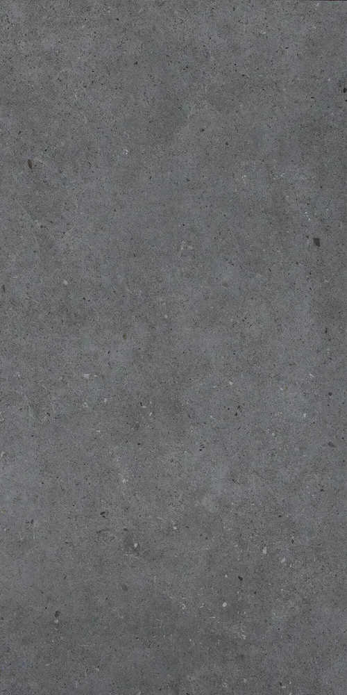 Revêtements sols intérieurs - Grès Cérame Effet Béton Anthracite Mat 60X120 - EBBD021 (Ceramishop.fr) - CERAMISHOP