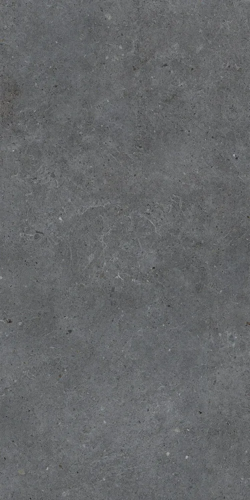 Revêtements sols intérieurs - Grès Cérame Effet Béton Anthracite Mat 60X120 - EBBD021 (Ceramishop.fr) - CERAMISHOP