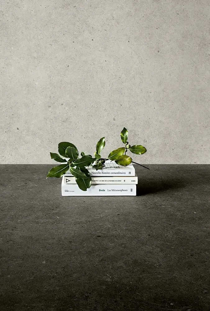 Indoor floor coverings - Anthracite Matt Concrete Effect Porcelain Stoneware 60x60 - EBBD023 (Ceramishop.fr) - CERAMISHOP