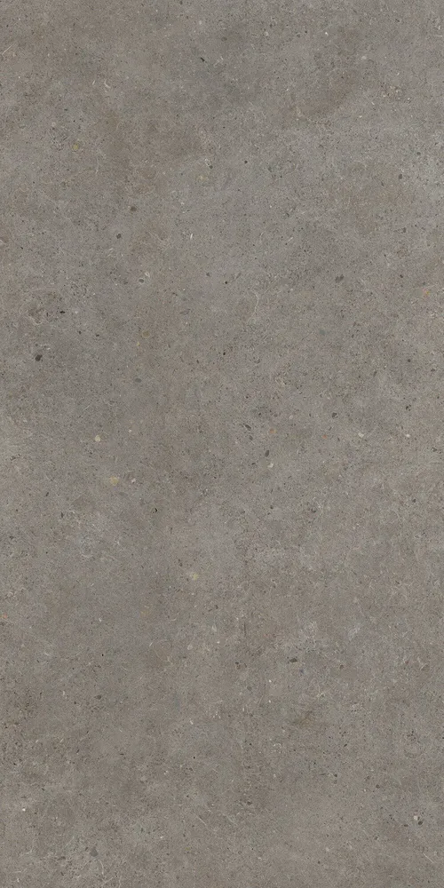 Indoor floor coverings - Matt Ash Grey Concrete Effect Porcelain Stoneware 60X120 - EBFE017 (Ceramishop.fr) - CERAMISHOP
