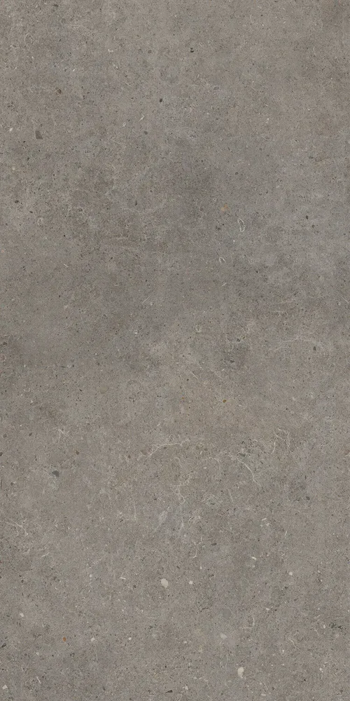 Indoor floor coverings - Matt Ash Grey Concrete Effect Porcelain Stoneware 60X120 - EBFE017 (Ceramishop.fr) - CERAMISHOP
